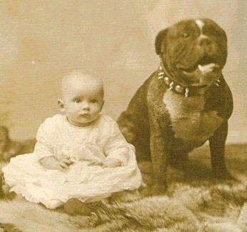 1940s picture of baby girl sitting with large pit bull