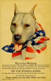 WWI American recruitment poster featuring a pit bull